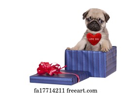 present puppy