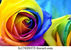 Rainbow Rose Or Happy Flower Art Print Home Decor Wall Art Poster H