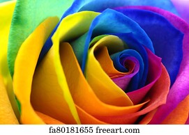 Rainbow Rose Or Happy Flower Art Print Home Decor Wall Art Poster H
