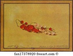 Count Feodor Tolstoy Art Print - Red And White Currants