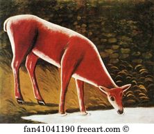 Roe Art Print - Roe Deer By A Creek