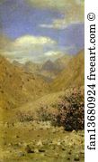 Ladakh Art Print - Roses In Ladakh