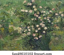 Roses Art Print - Roses