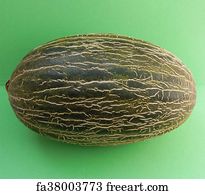 Free Art Print Of Santa Claus Melon Santa Claus Melon Aka Piel De