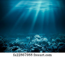 underwater ocean scene