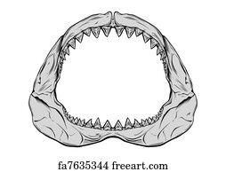 Free art print of Cartoon tiger shark bares his sharp teeth isolated on ...