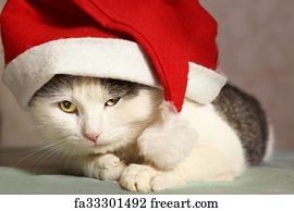 Free art print of Cool tom cat in santa claus garment mantel. Cool cat ...