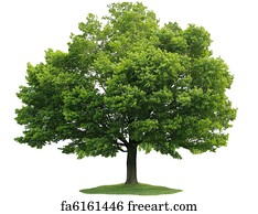 Free Tree Art Prints and Wall Artwork | FreeArt