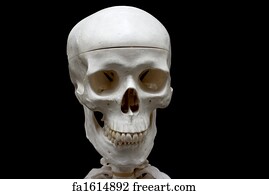 Finish Line Free Shipping Trick >> Free art print of Halloween Skull. Black and white close ... Finish Line Free Shipping Trick >> Free art print of Halloween Skull. Black and white close ...