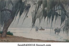 Florida Art Print - Spanish Moss, Tampa Bay, Florida