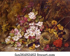  Art Print - Still Life With A Bird's Nest