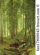 Forest Stream Art Print - Stream By A Forest Slope