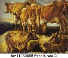 Cows Art Print - Study Of Cows