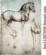 Vinci Art Print - Study Of Horses