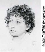 Studies Of Figures Art Print - Study Of The Head Of A Model Called Agostino, For The Figure Of Giotto In Cimabue's Madonna