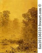 Swamp Art Print - Swamp In A Forest. Mist