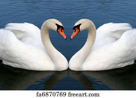 Free Swans Art Prints and Artworks | FreeArt