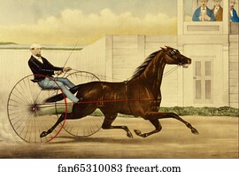 Mares Art Print - The Celebrated Trotting Mare Lucy.