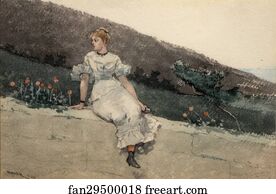 Wall Art Print - The Garden Wall