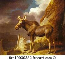 Hunterian Art Print - The Moose