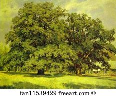 1891 Oil On Canvas The Russian Museum Art Print - The Mordvinovo Oaks
