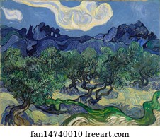 Trees Art Print - The Olive Trees