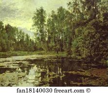 Domotcanovo Art Print - The Overgrown Pond. Domotcanovo