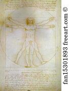 Proportions Art Print - The Proportions Of The Human Figure (Vitruvian Man)