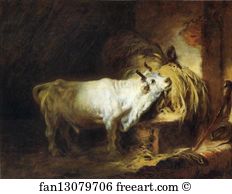 Bulls Art Print - The White Bull