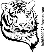 Free art print of Black and white portrait of tiger. Beautiful portrait ...