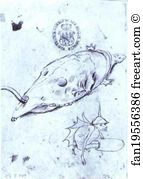 Pen And Bistre On Paper Kupferstichkabinett Art Print - Tortoise With Death's Head On Its Carapace And Winged Demon