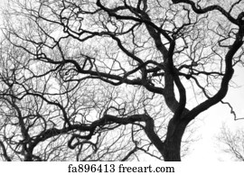 Free Trees Art Prints and Wall Artwork | FreeArt