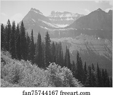 Park Art Print - Trees And Bushes In Foreground, Mountains In Background, "in Glacier National Park, " Montana. Photographs Of National Parks And Monuments, Compiled 1941 - 1942, Documenting The Period Ca. 1933 - 1942.