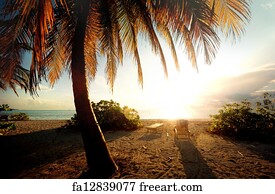 Free art print of Tropical beach | FreeArt | fa16971568
