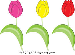 Free art print of Picture, flower of a lily. Flower of a lily. Picture ...