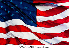 Military Art Print - Us Flag