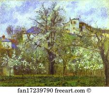 Vegetable Art Print - Vegetable Garden And Trees In Blossom, Spring, Pontoise