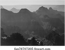 Shrub Art Print - View With Shrub Detail In Foreground, "grand Canyon National Park, " Arizona. Photographs Of National Parks And Monuments, Compiled 1941 - 1942, Documenting The Period Ca. 1933 - 1942.