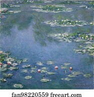 Lily Art Print - Water Lilies