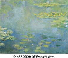 Waterlilies Art Print - Waterlilies