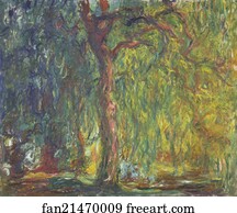 Willows Art Print - Weeping Willow