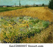 Wheatfield Art Print - Wheatfield