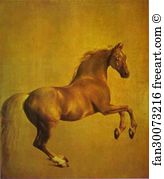 1762 Art Print - Whistlejacket