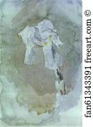 1886 1887 Art Print - White Iris