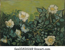 Roses Art Print - Wild Roses