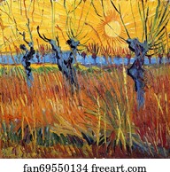 Willows Art Print - Willows At Sunset
