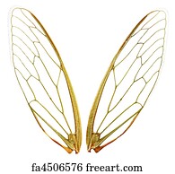 Free Fairy Wings Art Prints and Artworks | FreeArt