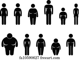 woman body figure size