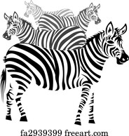 Free art print of Zebras. Two male zebra, in the natural African ...