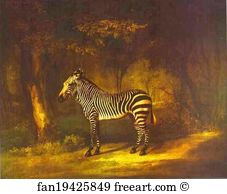 1762 Art Print - Zebra